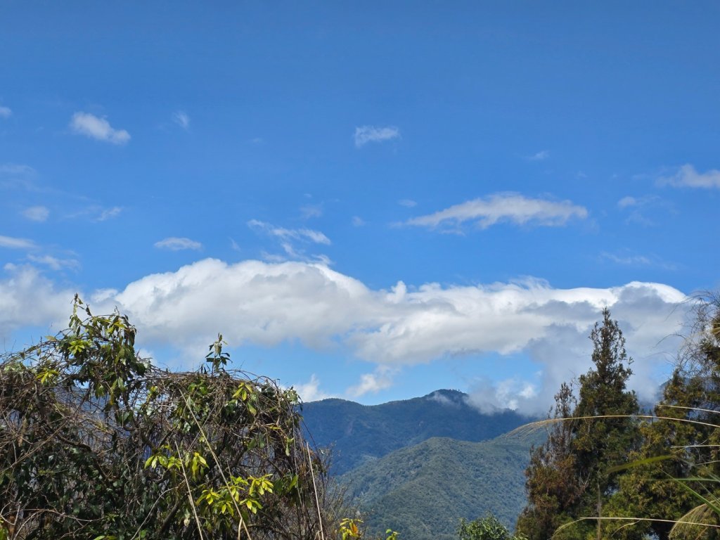 谷關七熊馬崙山_2748784