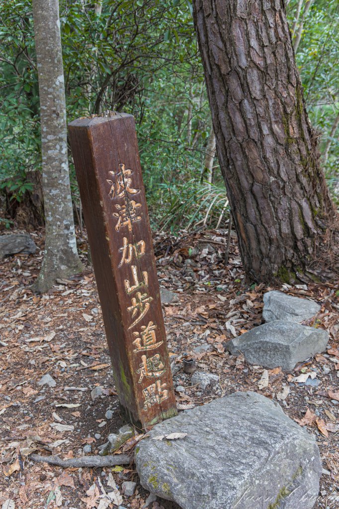 谷關七雄_波津加山_2977563