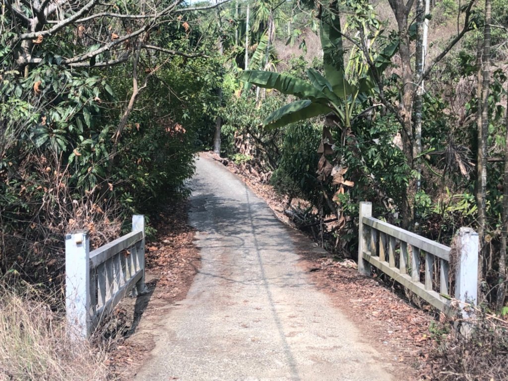 台南市楠西區爐芝潭山3-459_2115347