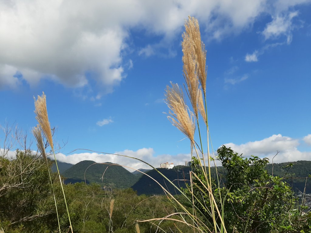 尋找山中鐵達尼、山形猶如鳳之丹鳯山_753218