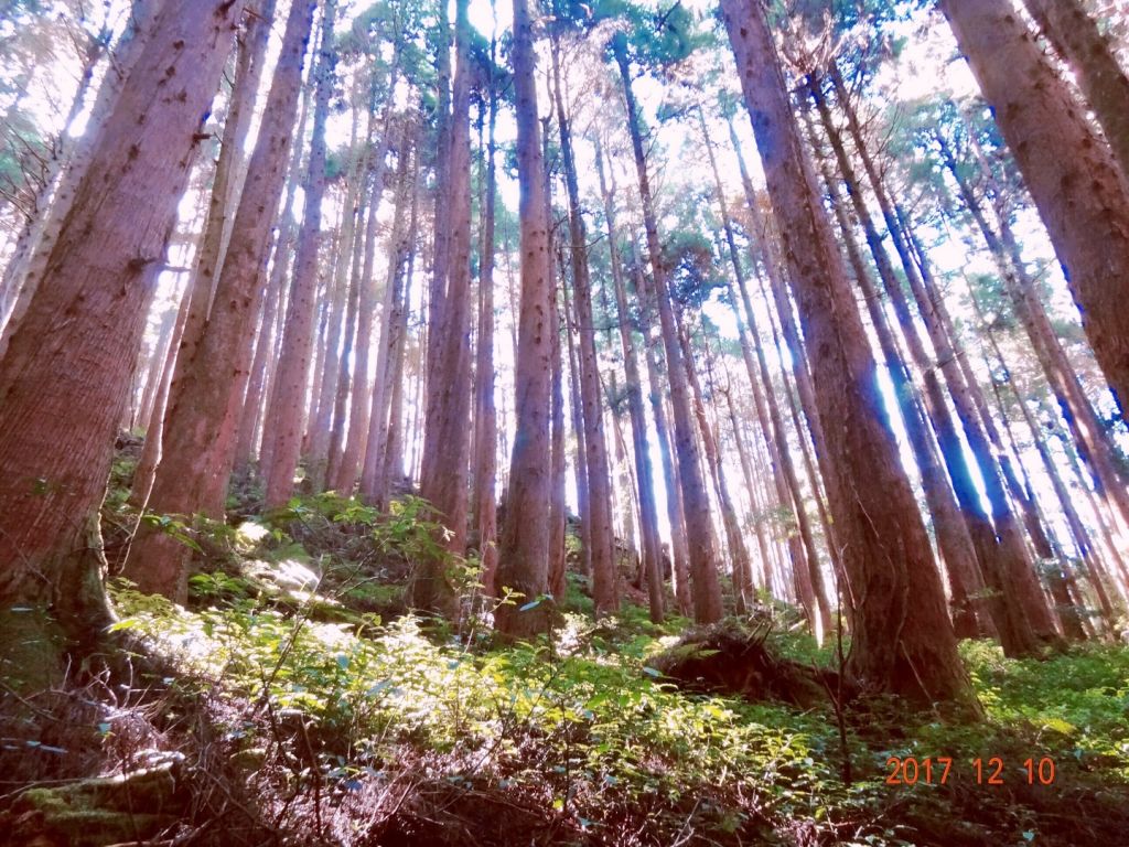 特富野悠閒散步之旅_222529