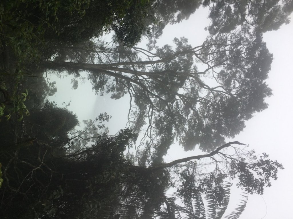 38溪洲山_2729739