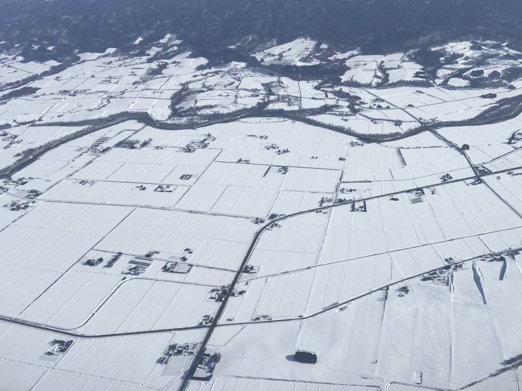 北海道------雪祭_3001901