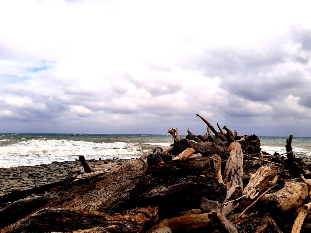 琅嶠卑南古道_2700473