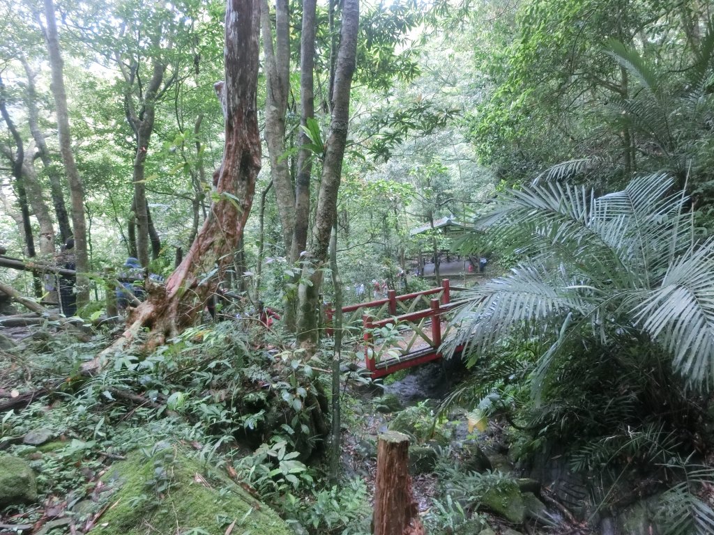 馬武督森林_566539