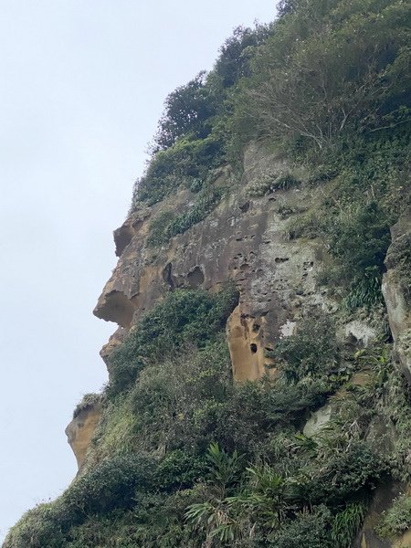 淡蘭古道北路（官道）_855049