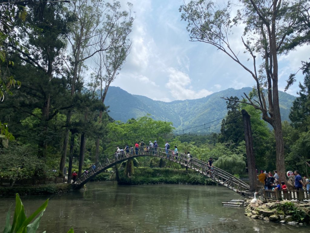 20240420 溪頭自然教育園區_2484352