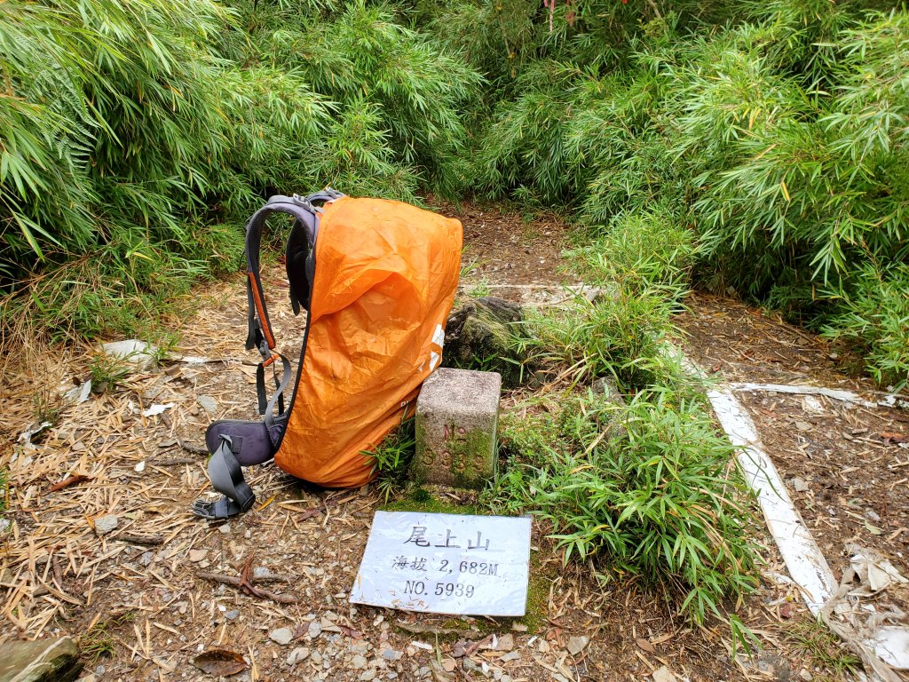 古道漫步、雲海追星、尾上山西稜遊～_1143052