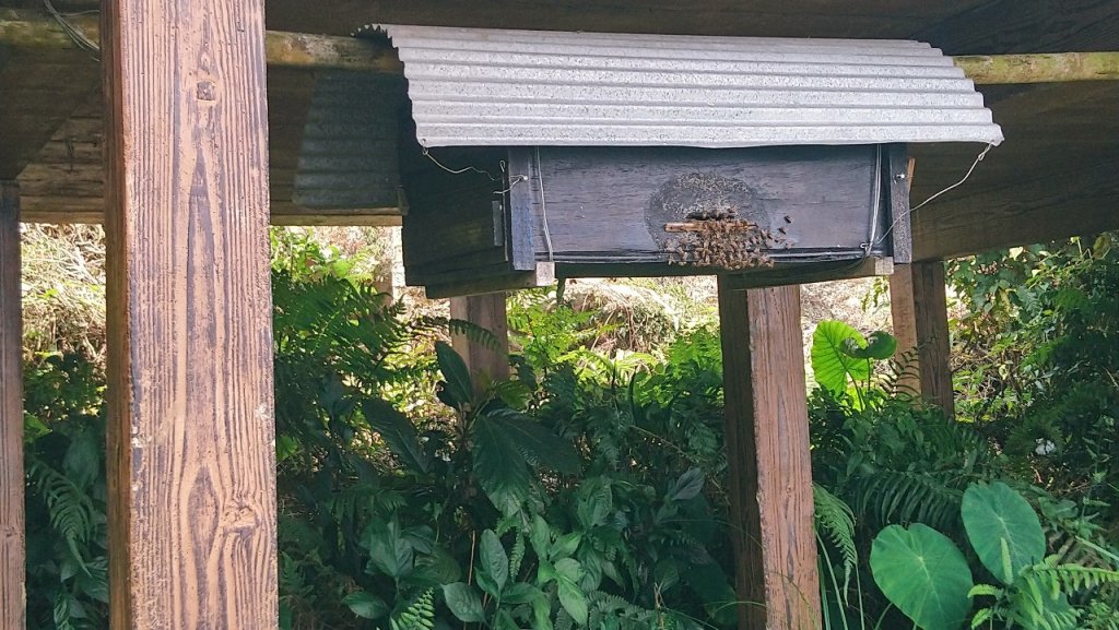 樟湖山、後棟仔山、大尖山、二尖山4山連走_1336977