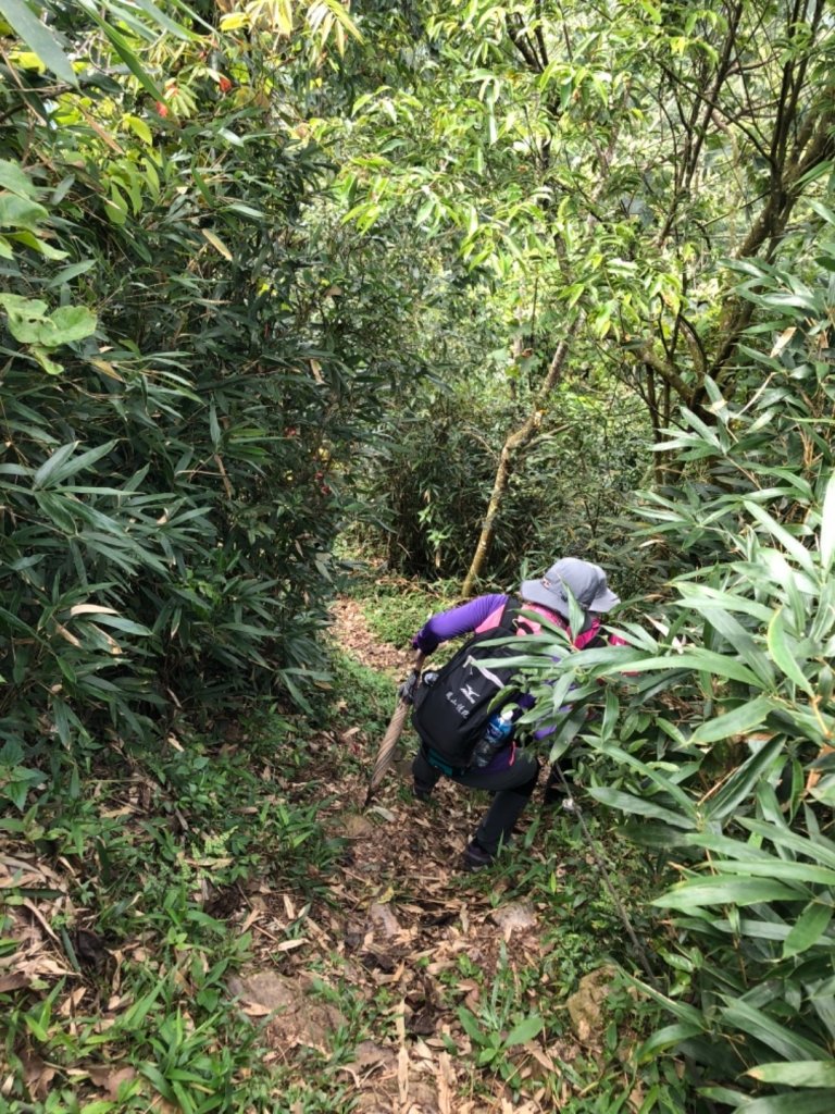 白賓山&真笠東北峰_688832