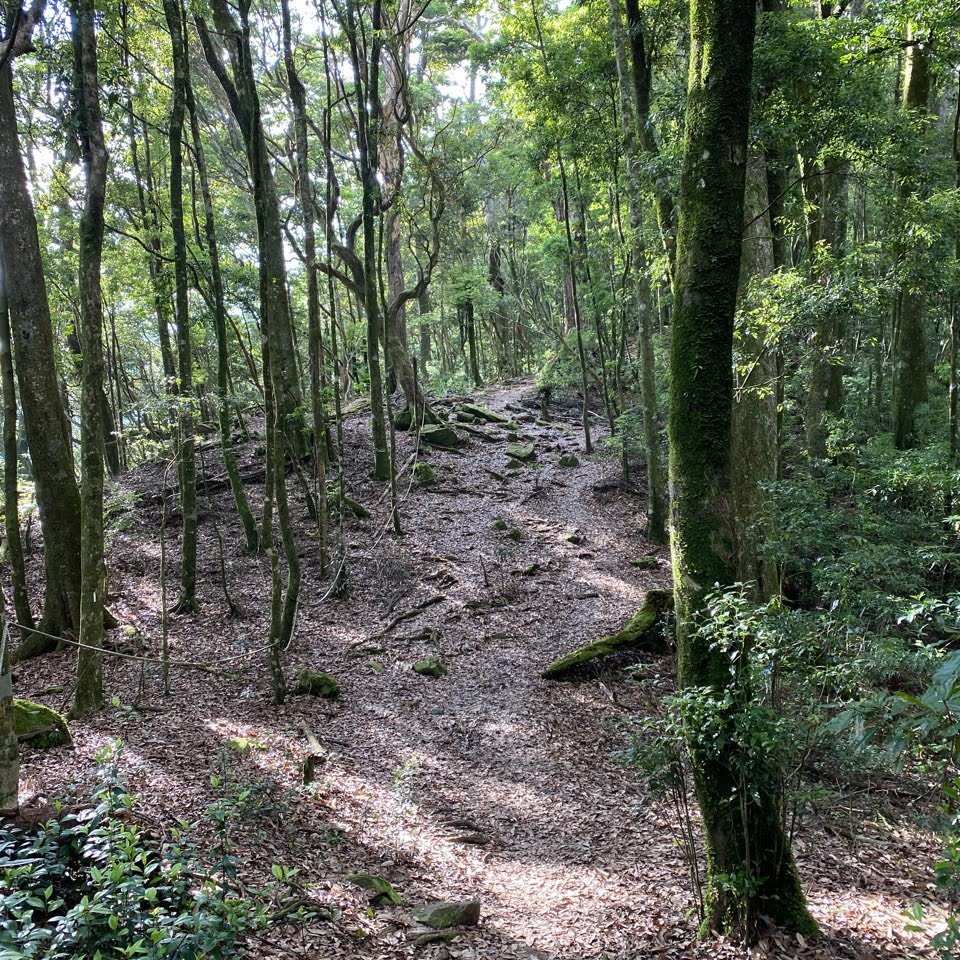 谷關七雄-屋我尾山_1028736