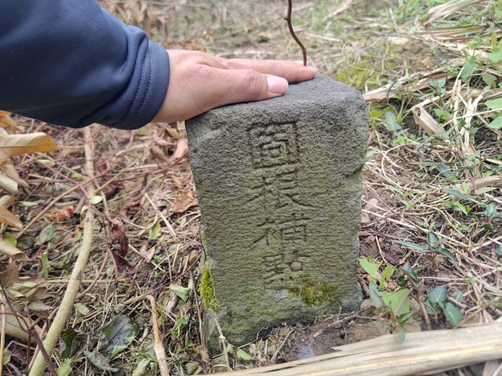 梅山鄉撿山頭_2449412