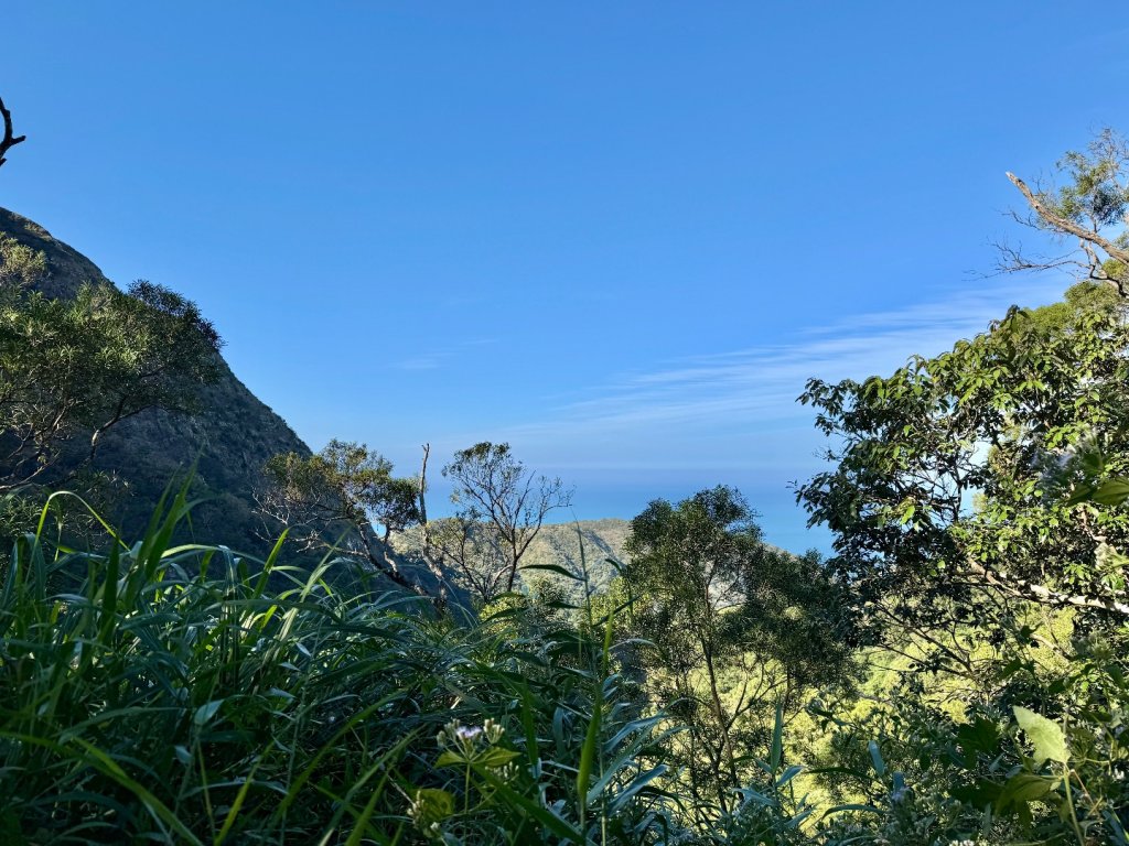 楓港紫竹林龍峰寺起登 里龍山(小百岳#80)來回_2964454