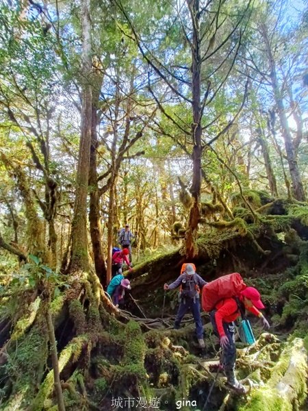 【宜蘭大同】走入魔法森林之仙女散落的珍珠。 太加縱走 (夢幻美的加羅湖)_2469257