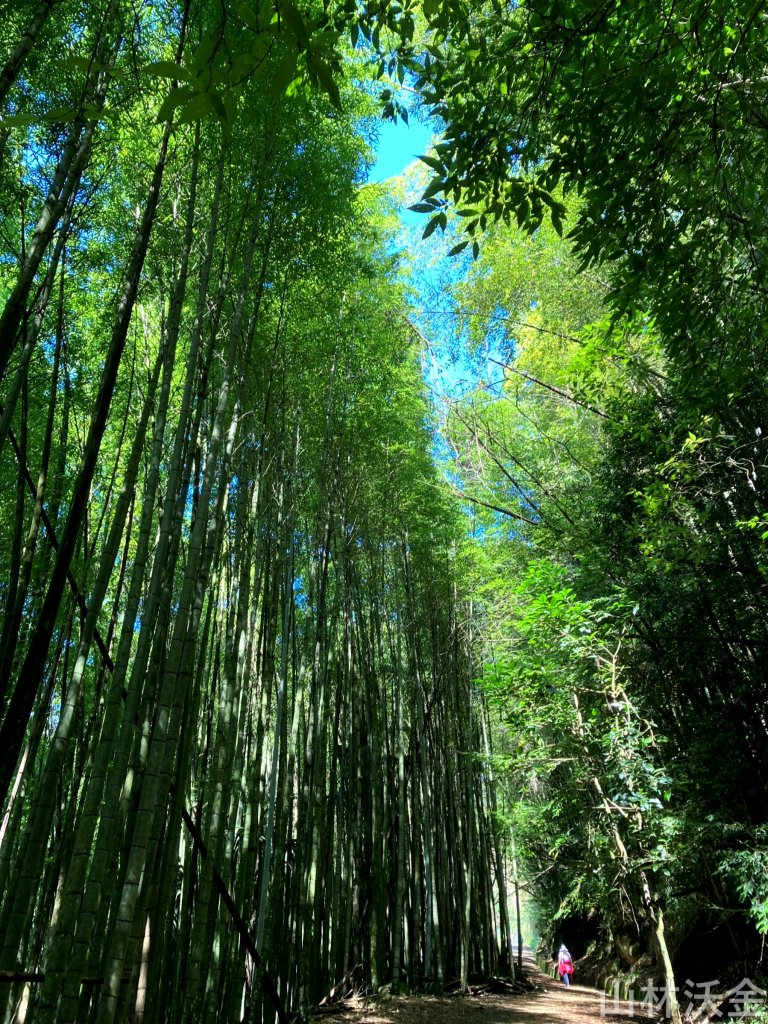 2023-10-29 頂湖直上大凍山_2330899