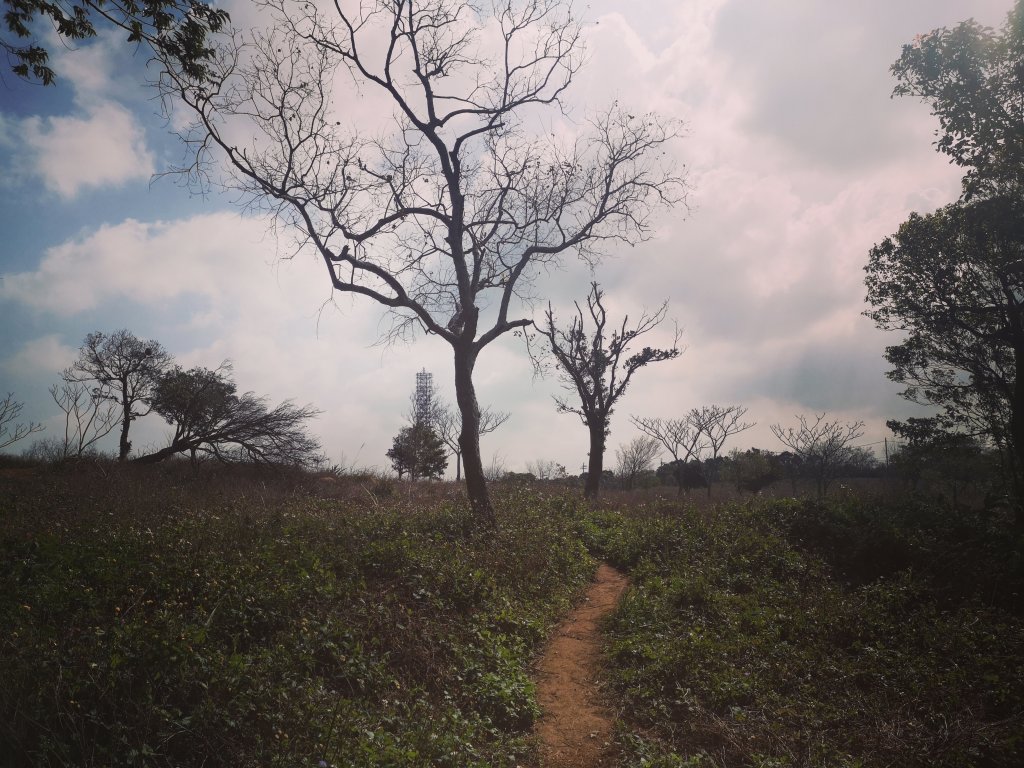 我從福人步道走去大北坑吃好料_818624