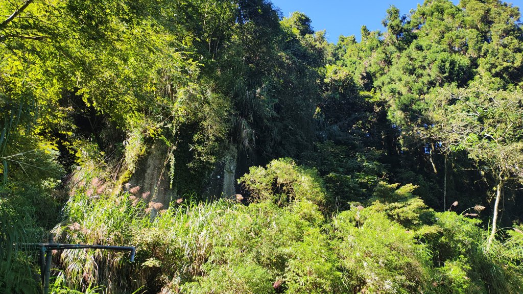 溪頭自然教育園區封面圖