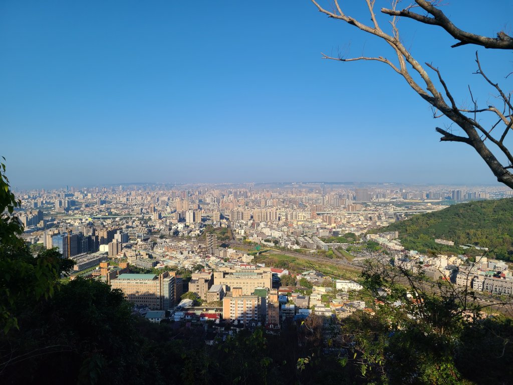 走了一個大O_2723392