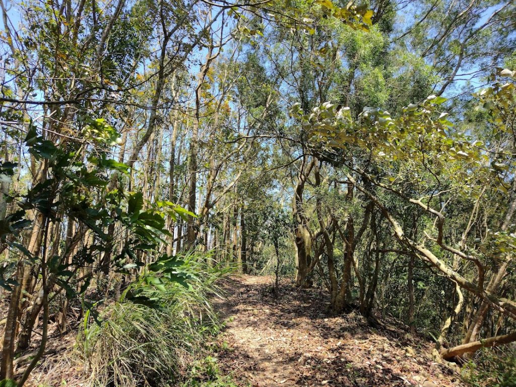 2022 4/5 刣牛湖山_1664138