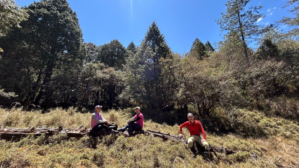 大同加羅湖穆魯洛亞滬庫霞四季警備道_2748257