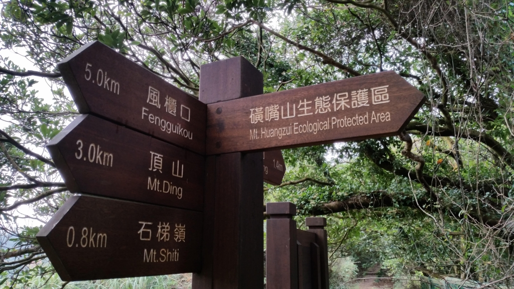 陽明山國家公園~磺嘴山、翠翠谷_2907