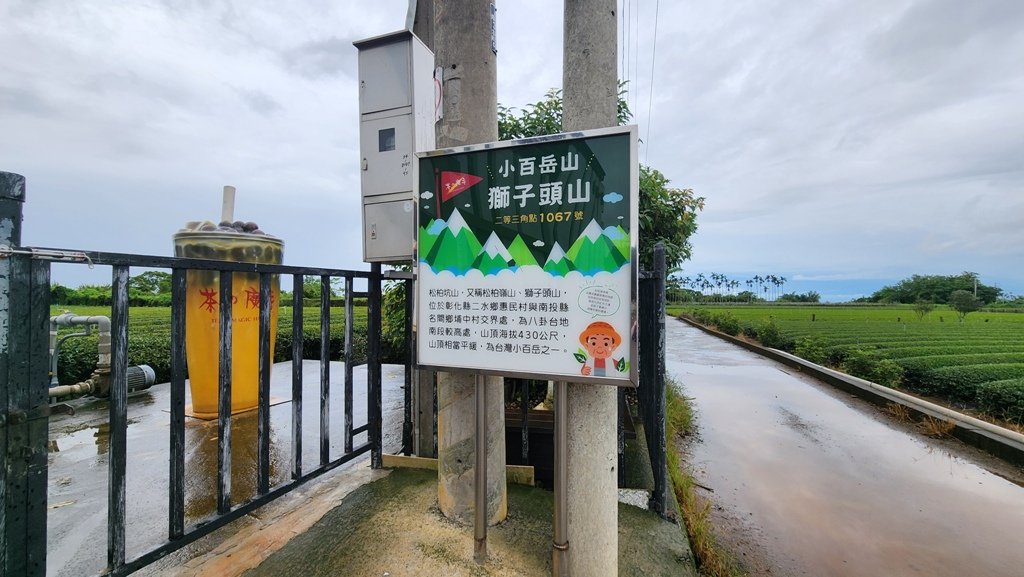 【南投民間】松柏嶺步道連走松柏坑山封面圖