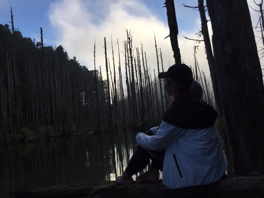 水樣森林 第一次在山裡過夜_659256