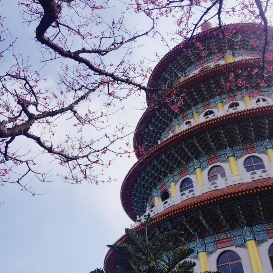 山仔頂登山步道封面圖