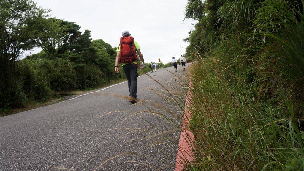 陽明山東西大縱走活動_402947