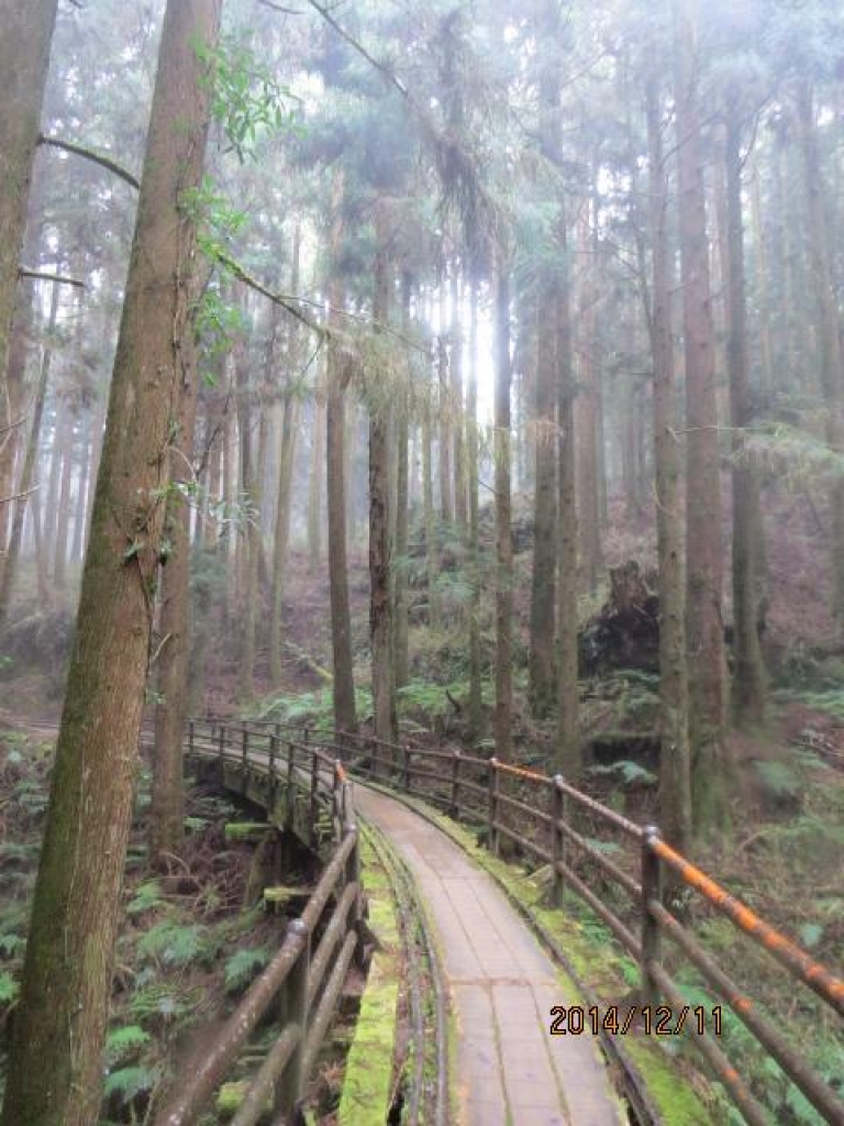 雨霧濛濛之特富野步道_8025