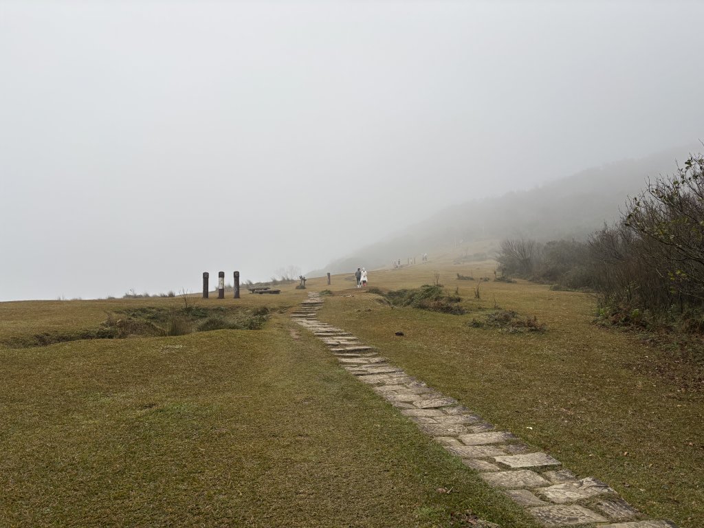 陽明山東西大縱走-東段_2984528