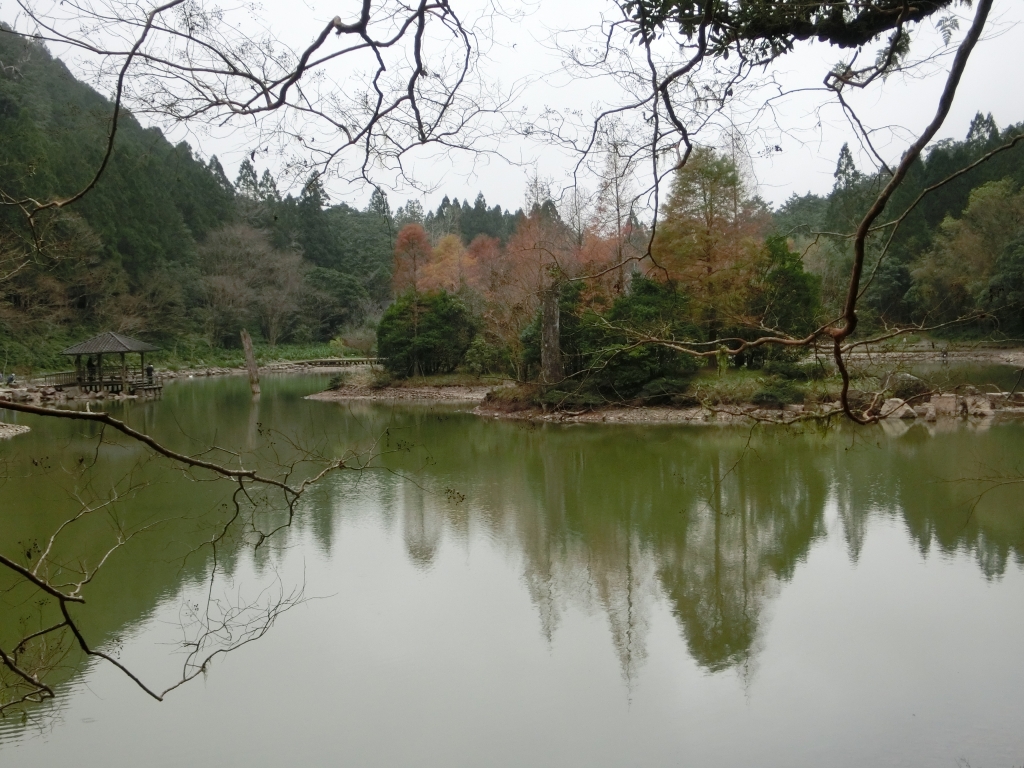 棲蘭山莊．神木園．明池_93507