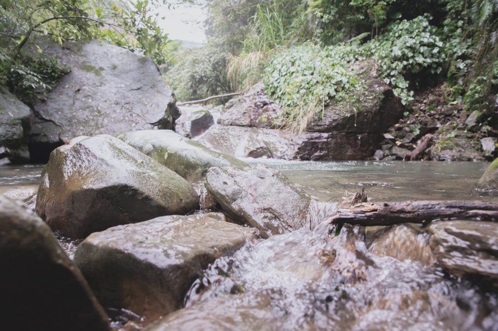 20200405-姜子寮絕壁步道_914461