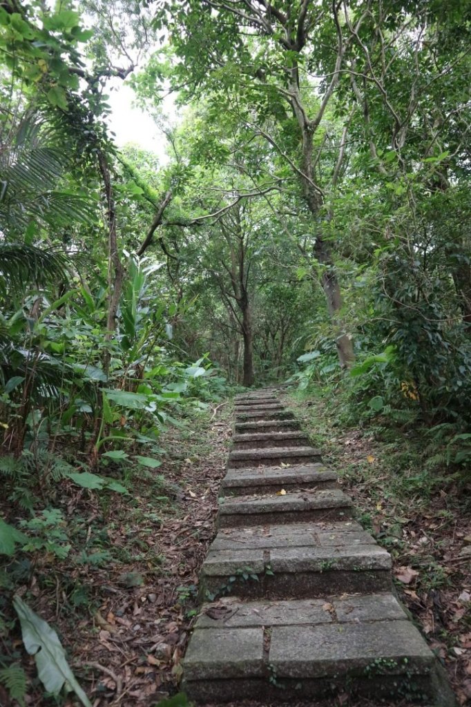 小百岳NO.14 深坑土庫岳。更寮古道 山豬窟尖，小南港山，南港山水綠生態公園_2257296