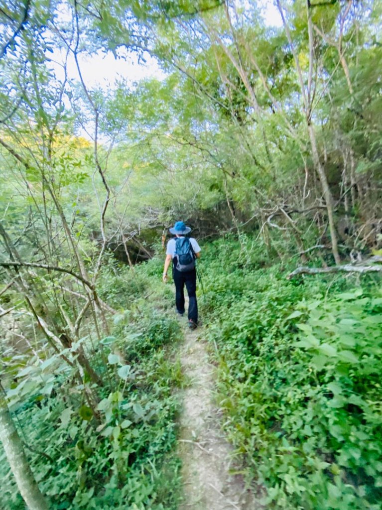 1090712屏東大山母山步道_1030376