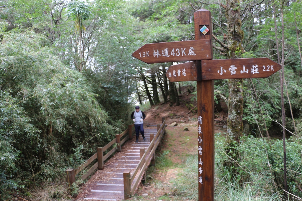 2015-09-26大雪山森林遊樂區_22045