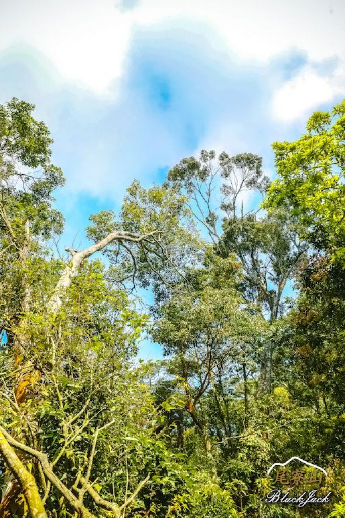 學霸同行尾寮山_295310