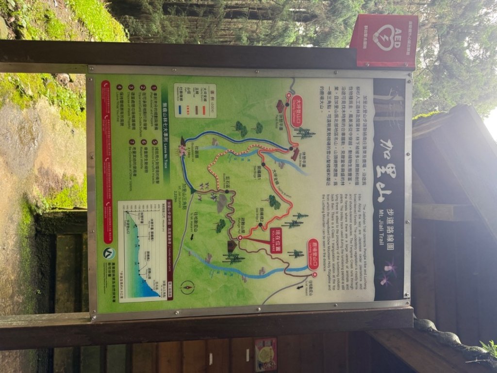 20250607 春谷養鱒場所上加里山 出大坪_2805224