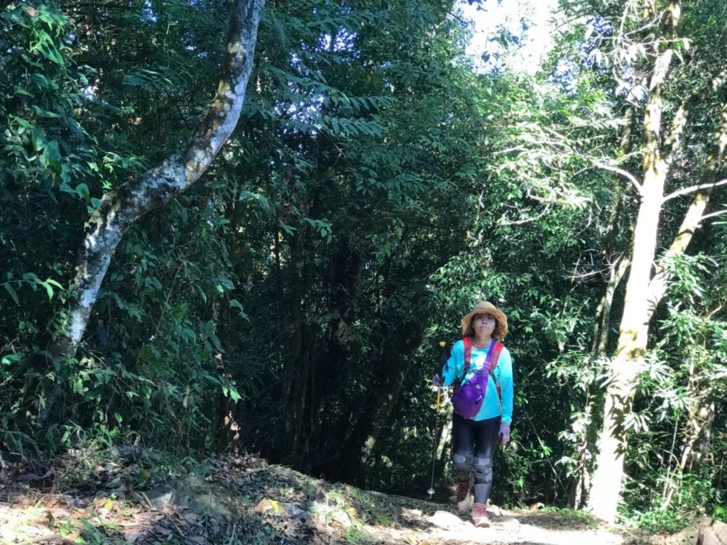 細道邦山 馬那邦山_464872