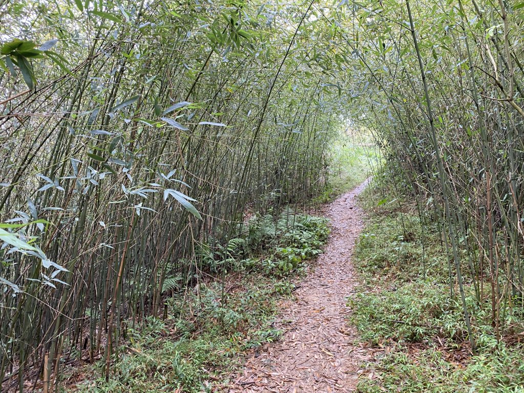 2024/01/26 南勢角山 文筆山 天上山 火焰山封面圖