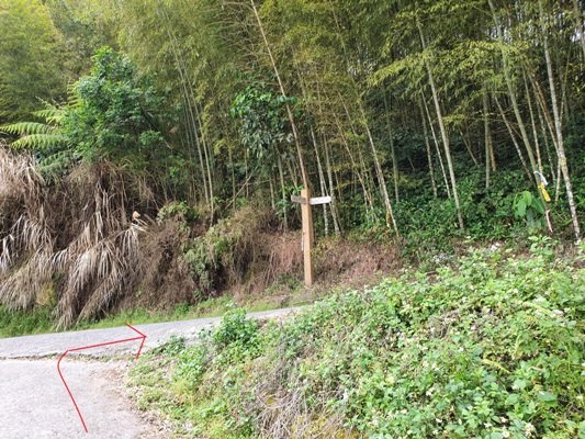 1090405後棟山連走大二尖山_908323