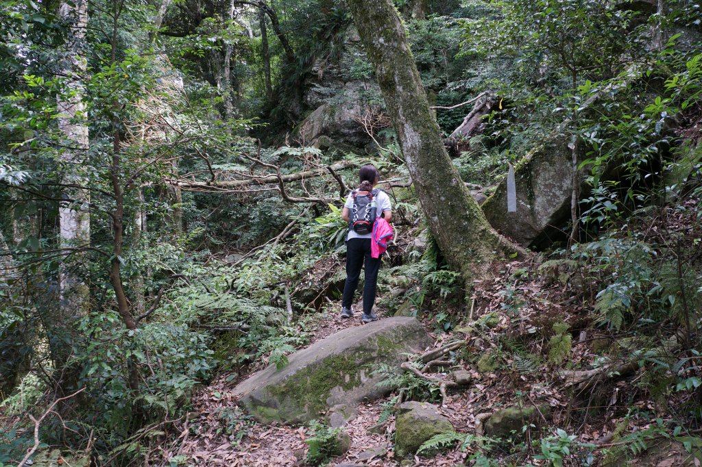 鵝公髻山_626295