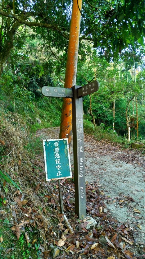 【獵鷹尖、一線天】連走【梅峰、竹子尖山】_872196