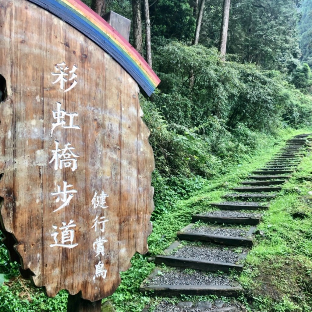 27.溪頭20多年了，好久不見，您依然「靜、美」_1352655