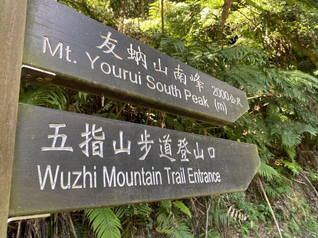 《五指山古道 × 石盤瀑布 × 友蚋山南峰 × 柯子林天然泳池｜尋訪山林古道與靜謐日式庭園》封面圖