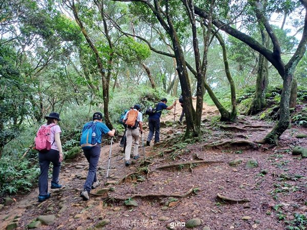 【新竹芎林】台灣百大必訪步道。 飛鳳山、觀日坪古道O繞封面圖