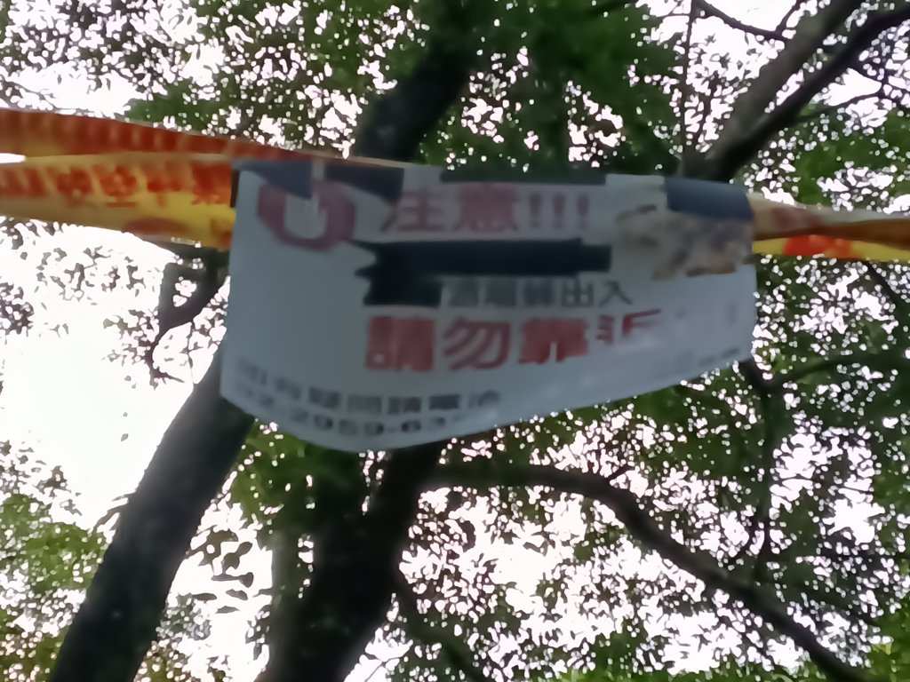 汐止區茄苳越嶺古道+上鹿窟崙山+九層坪山+四分尾山+大尖山8字走_2981540