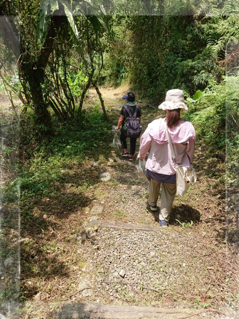 步道巡訪員 l 九寮溪自然步道６月巡訪日誌_1001552