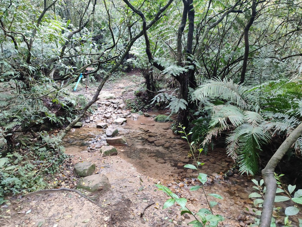 臺北大縱走第四段：風櫃口至中華科技大學_2730561