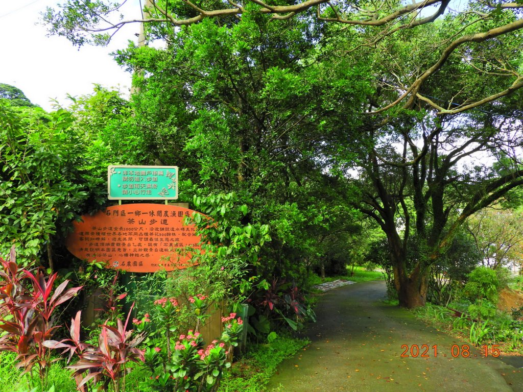 新北 石門 茶山步道、金寶山_1436887